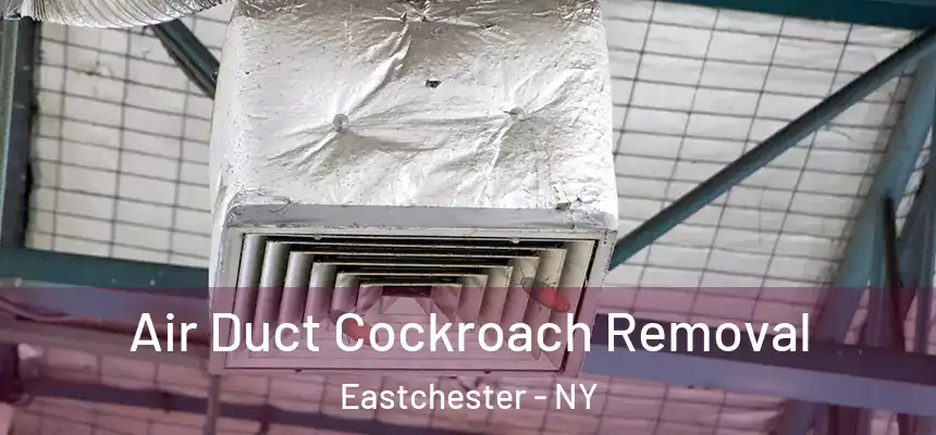 Air Duct Cockroach Removal Eastchester - NY