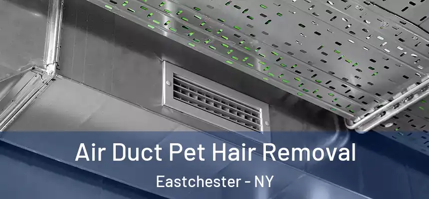 Air Duct Pet Hair Removal Eastchester - NY
