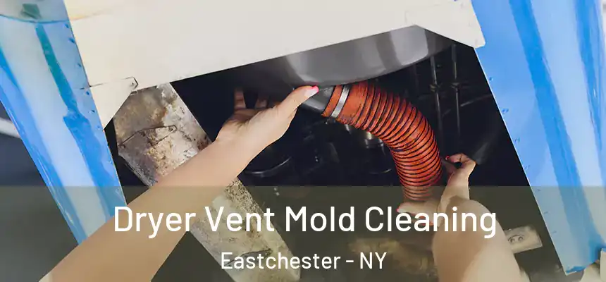  Dryer Vent Mold Cleaning Eastchester - NY