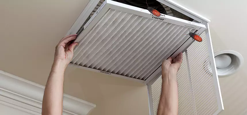 Preventive Cockroach-Proofing for Ducts in Eastchester