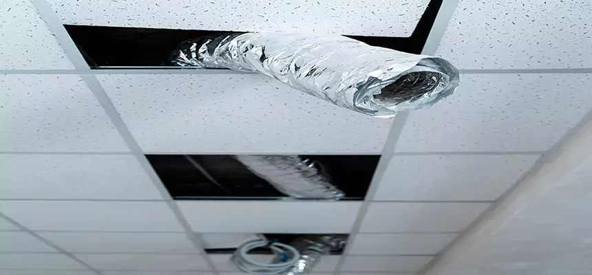 Affordable HVAC Sanitizing After Pest Removal in Eastchester