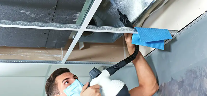 Our Air Duct Rodent Removal Services in Eastchester, NY