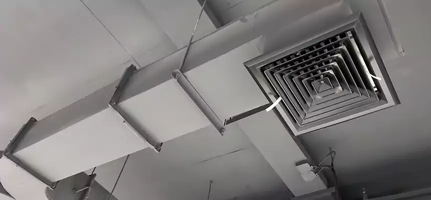 Restorative Allergy Relief Vent Cleaning – Coil, Blower & Housing Detail in Eastchester