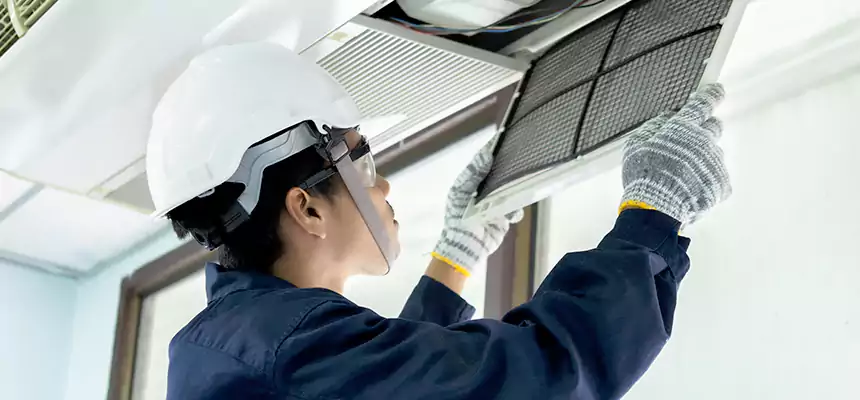 Our Mold & Mildew Removal from Air Ducts Services in Eastchester, NY