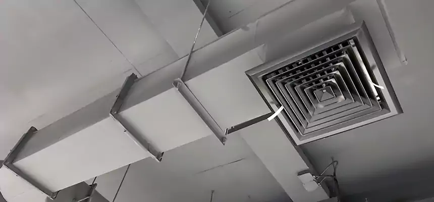 Our Pest Removal From Ducts Services in Eastchester, NY