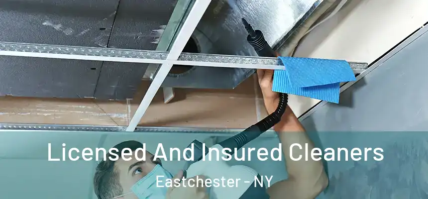  Licensed And Insured Cleaners Eastchester - NY