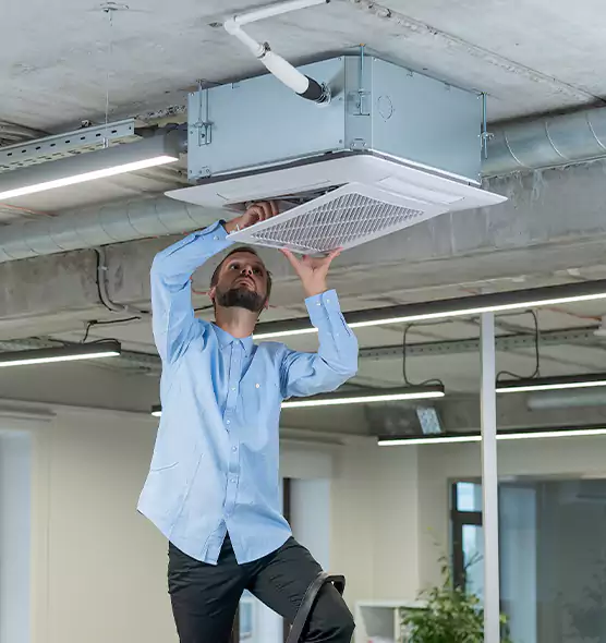 Advanced Rodent Droppings In Vents in Eastchester, NY