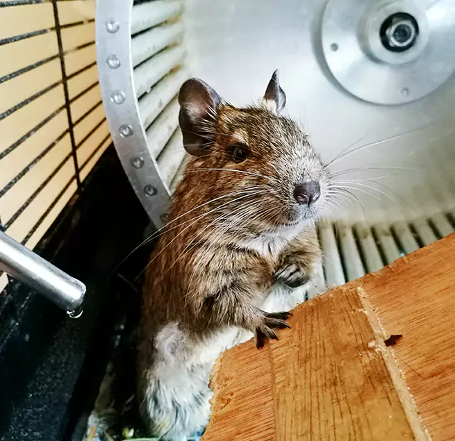 Why Homeowners & Businesses Trust Us Eastchester, NY