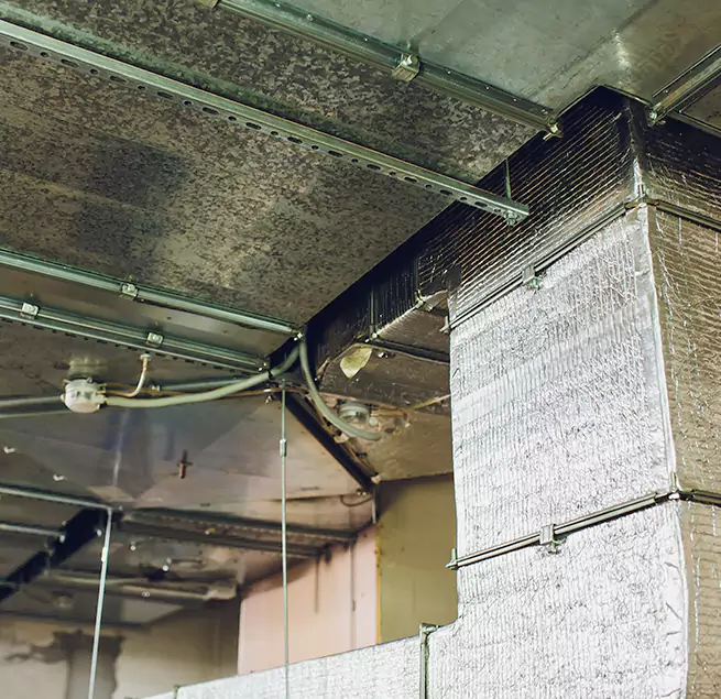 Why Homeowners & Businesses Trust Us in Eastchester, NY?